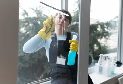 Nettoyage de vitres intérieures et extérieures à Vif